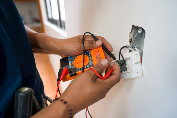 Best Electric Panel Repair  in Lake Hallie, WI